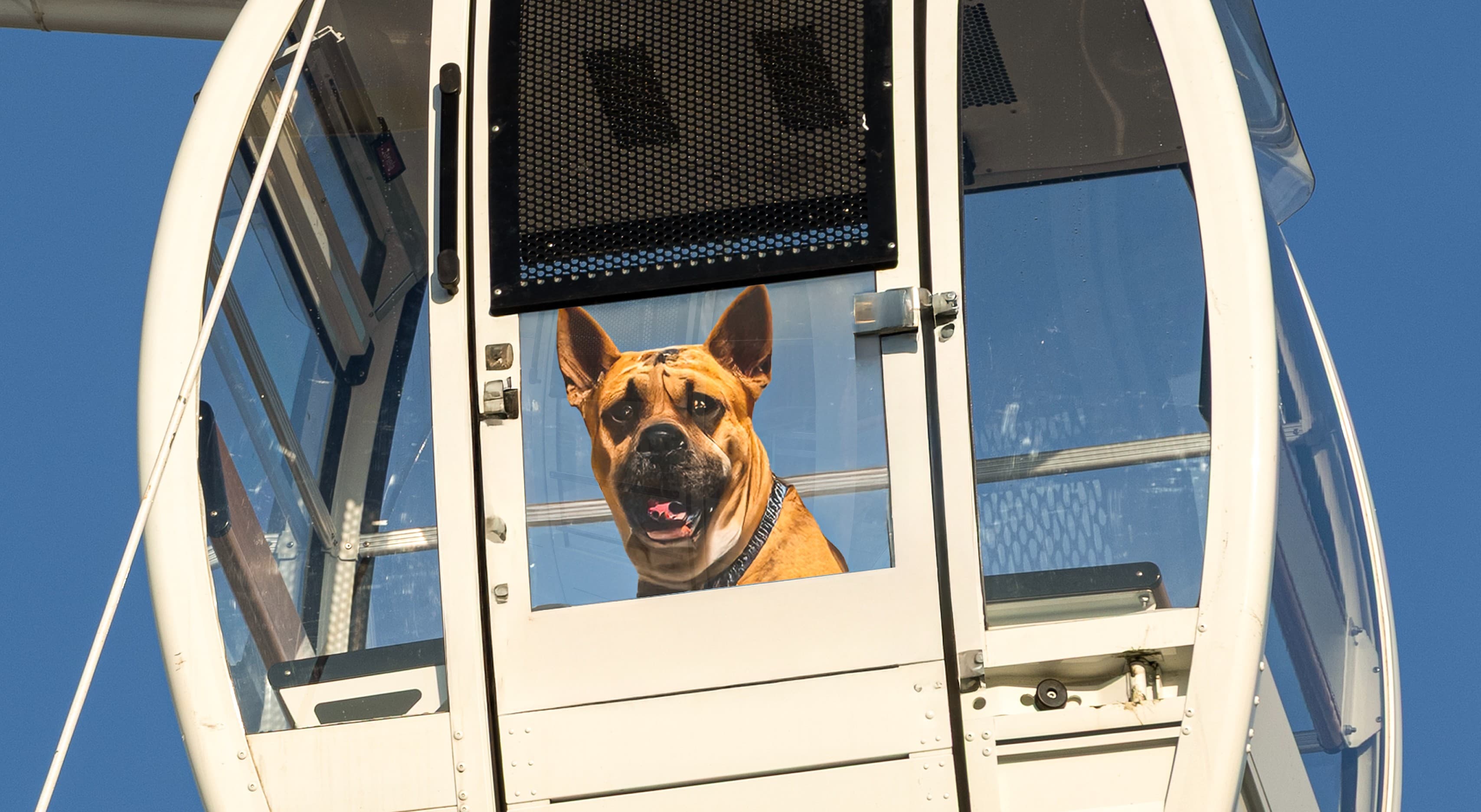 Imagem ilustrativa de Cabine PET